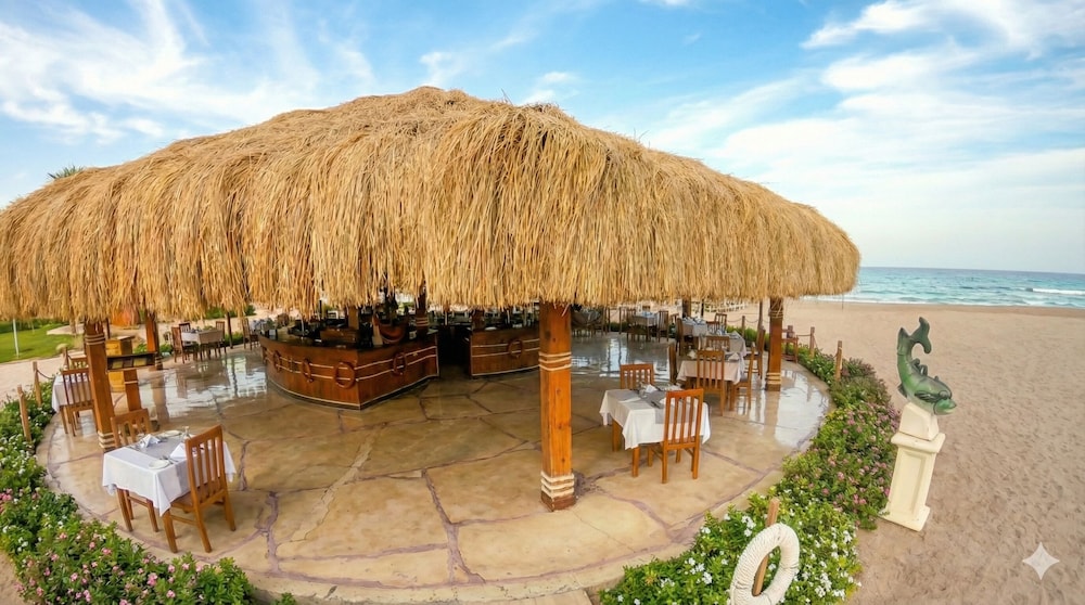 Romance Regency Club Adult Only (+16) - Ultra All Inclusive — Restaurant & bars in Sharm El Sheikh, South Sinai