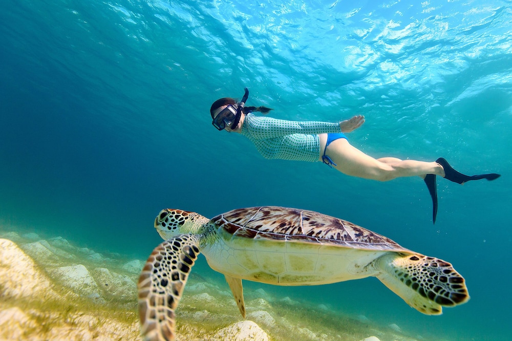 Iakinthos Tsilivi Beach — Sports & recreation in Tsilivi, Ionian Islands