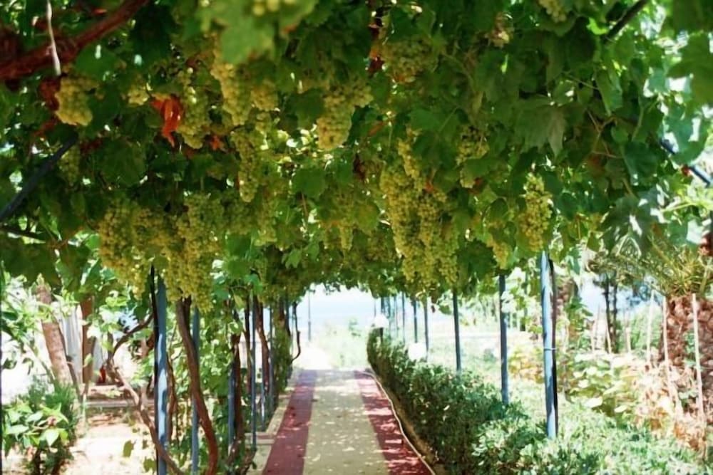 Villa Marina — Attractions in the area in Hersonissos