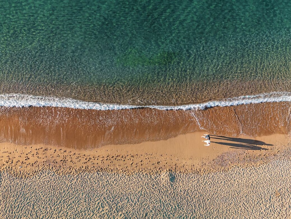 Berry Blue Hotels - All Inclusive — Beach in Side