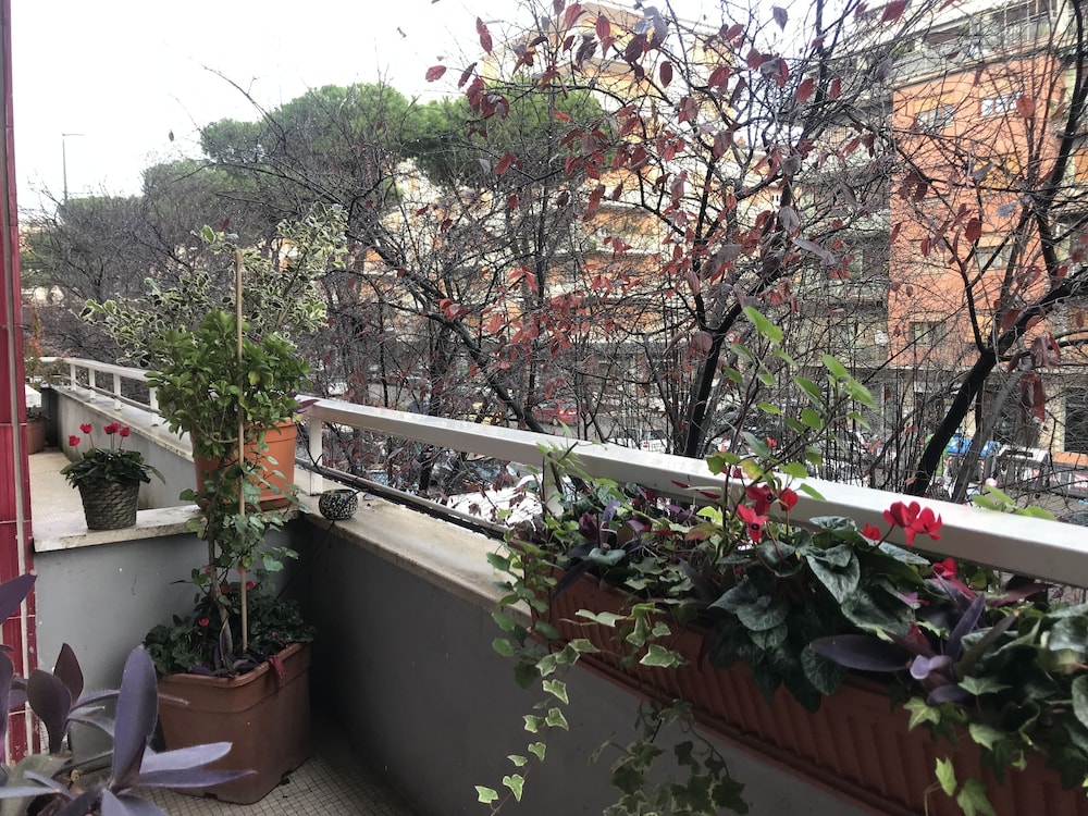 Casa Tua Vaticano Guest House — Attractions in the area in Rome, Lazio