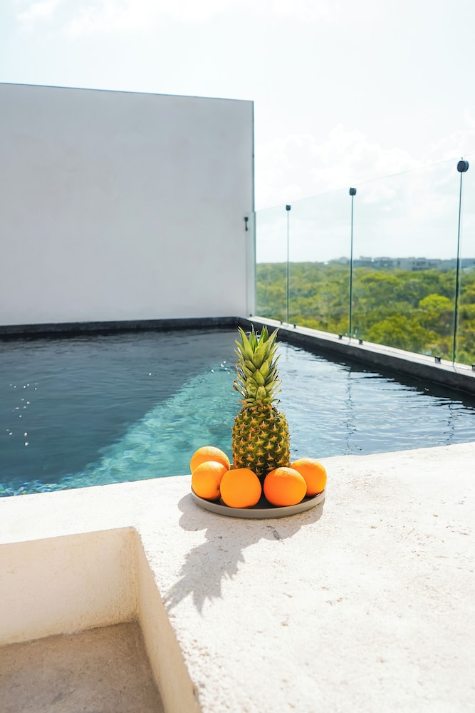 Otonomus Tulum — Swimming pool in Tulum, Quintana Roo