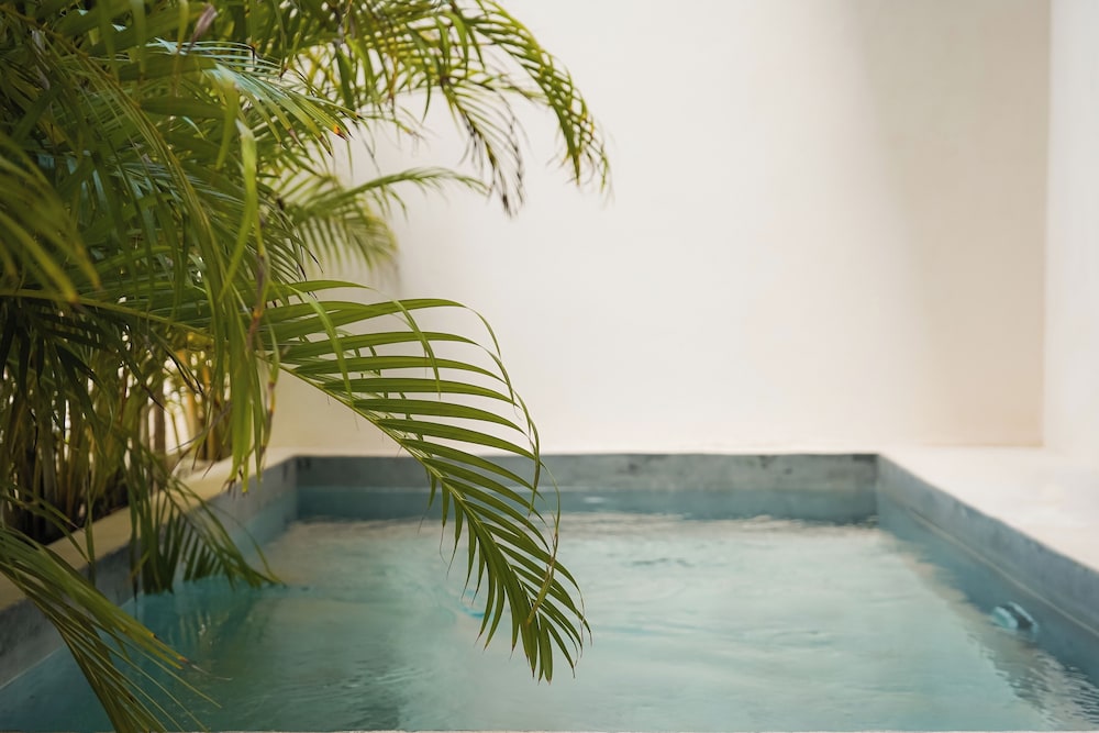 Otonomus Tulum — Swimming pool in Tulum, Quintana Roo