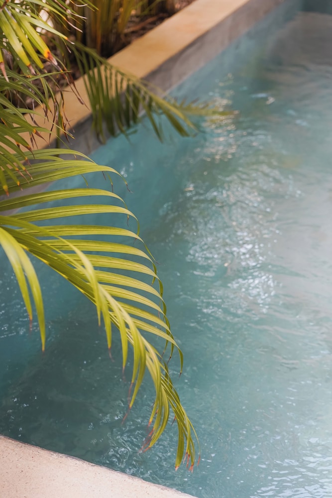 Otonomus Tulum — Swimming pool in Tulum, Quintana Roo