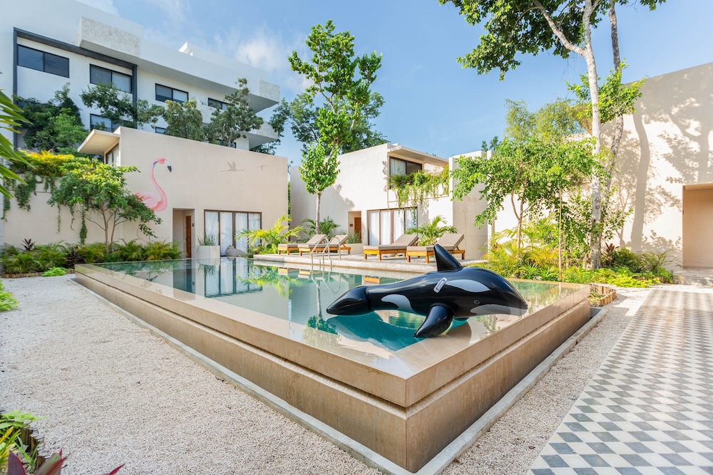 Collection O Faisano Boutique Hotel, Spa, Transportation, Rentals & Tours, Tulum — Swimming pool in Tulum, Quintana Roo