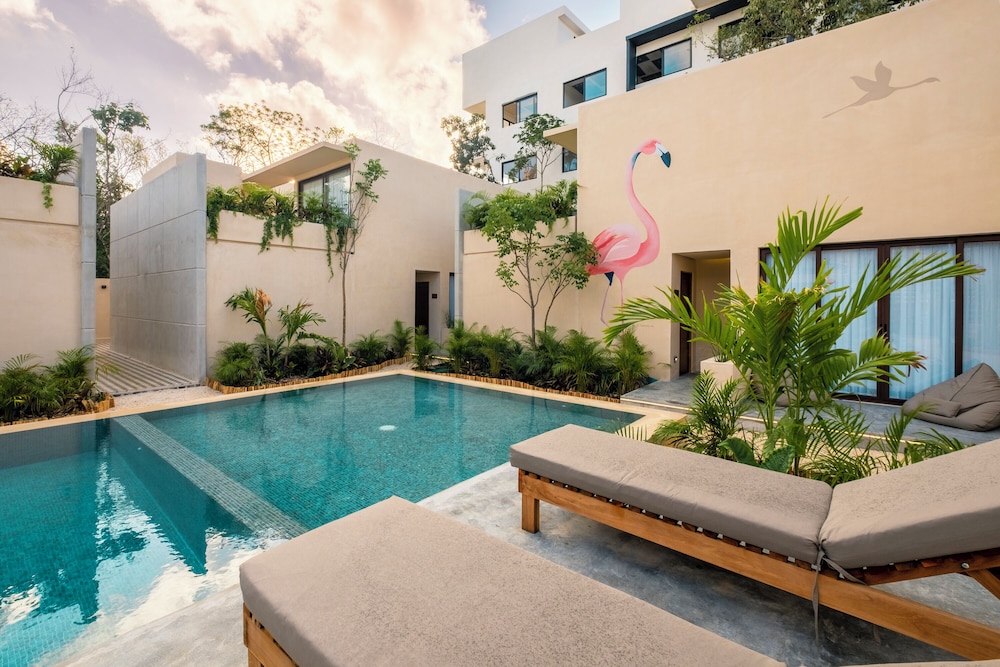 Collection O Faisano Boutique Hotel, Spa, Transportation, Rentals & Tours, Tulum — Swimming pool in Tulum, Quintana Roo