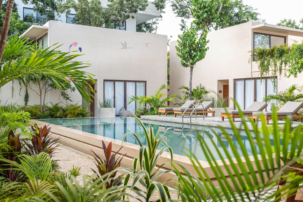 Collection O Faisano Boutique Hotel, Spa, Transportation, Rentals & Tours, Tulum — Swimming pool in Tulum, Quintana Roo