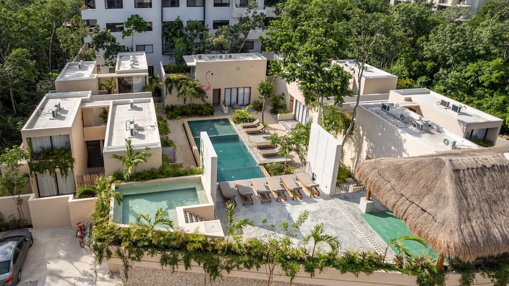 Collection O Faisano Boutique Hotel, Spa, Transportation, Rentals & Tours, Tulum — Swimming pool in Tulum, Quintana Roo
