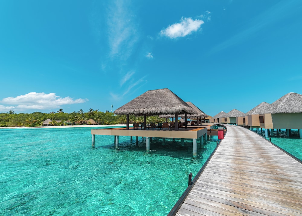 Adaaran Prestige Vadoo — Restaurant & bars in Kaafu Atoll, Kaafu