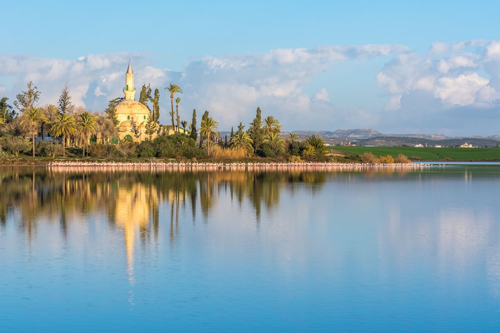 The Ciao Stelio Deluxe Hotel - Adults Only — Attractions in the area in Larnaca, Larnaca Region
