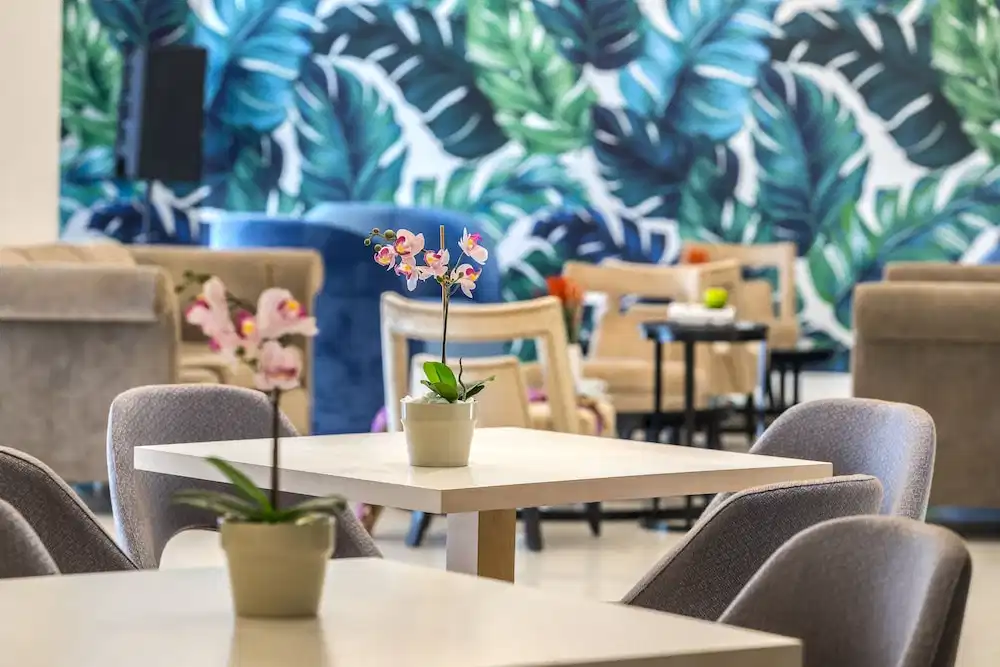 Tsokkos Protaras Hotel — Restaurant & bars in Protaras, Famagusta Region