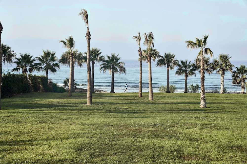 Mare Ayia Napa — Beach in Ayia Napa, Famagusta Region