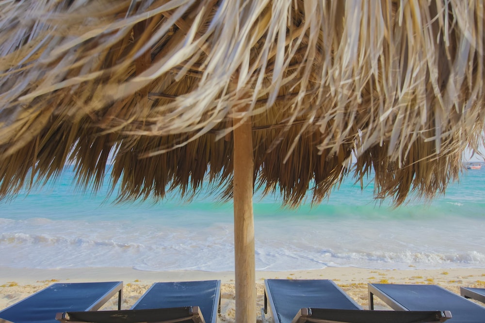 Royalton Punta Cana, An Autograph Collection All-Inclusive Resort & Casino — Outdoor in Bavaro, La Altagracia