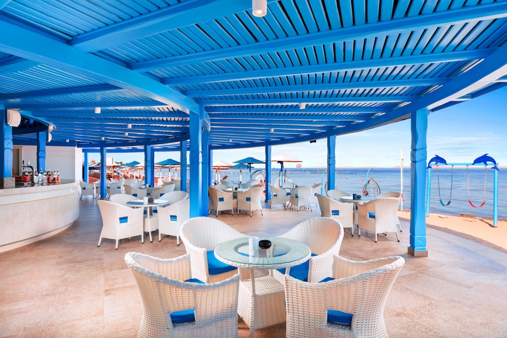 Pickalbatros Palace Sharm & Aqua Park - All inclusive — Restaurant & bars in Sharm El Sheikh, Red Sea
