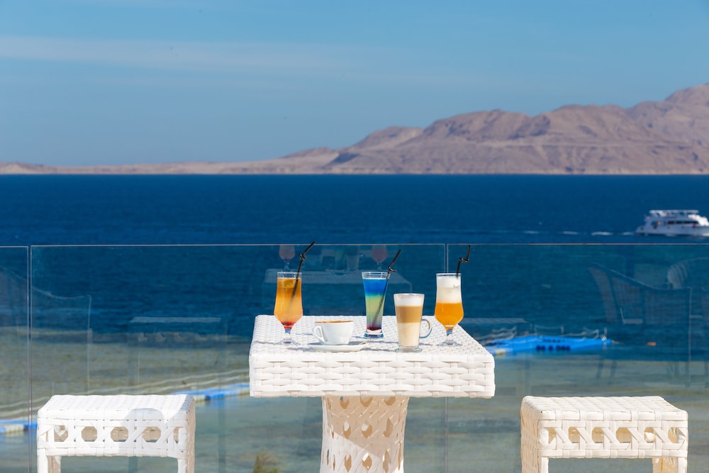 Pickalbatros Palace Sharm & Aqua Park - All inclusive — Restaurant & bars in Sharm El Sheikh, Red Sea