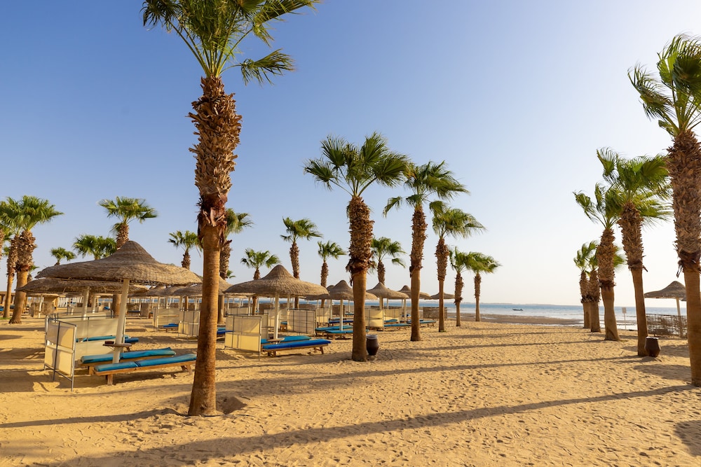 Amwaj Beach Club Abu Soma - All inclusive — Beach in Safaga, Red Sea