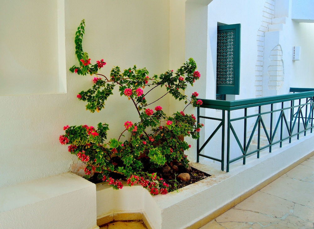 JAZ Neo Naama Bay — Hotel building in Sharm El Sheikh, Red Sea