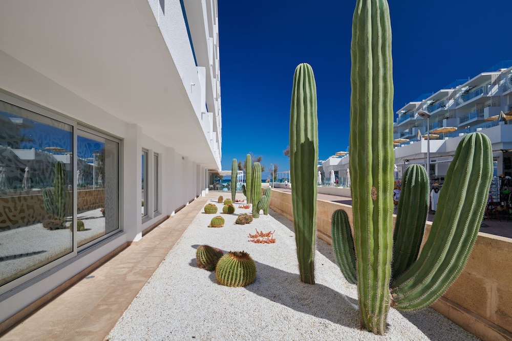 The Sea Hotel by Grupotel - Adults Only — Hotel building in Can Picafort, Balearic Islands
