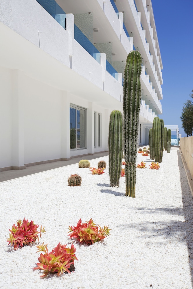 The Sea Hotel by Grupotel - Adults Only — Hotel building in Can Picafort, Balearic Islands
