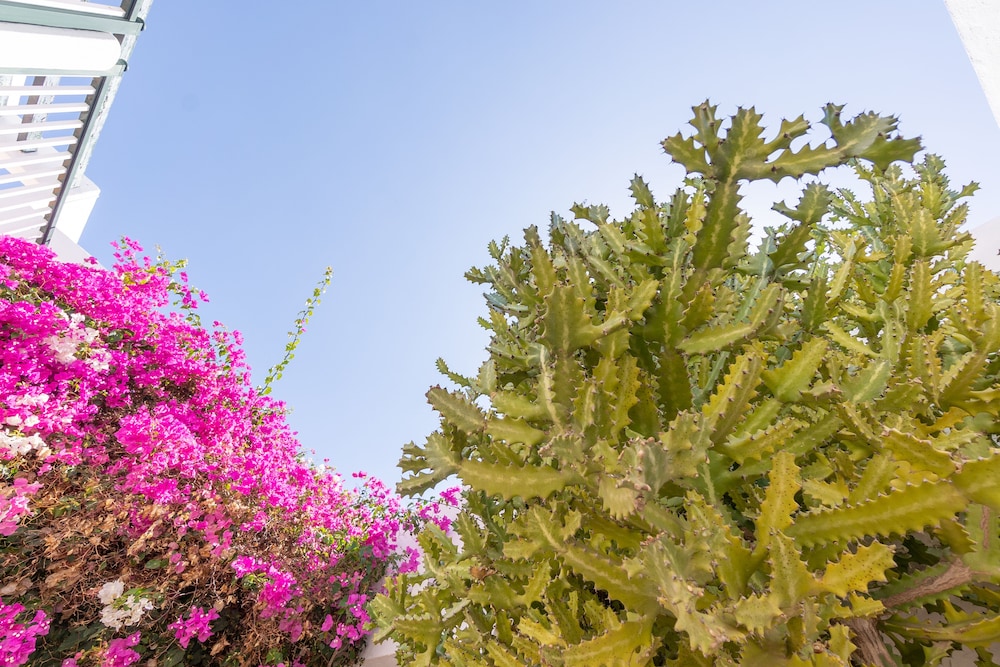 Bitácora Lanzarote Club — Attractions in the area in Puerto del Carmen, Canary Islands