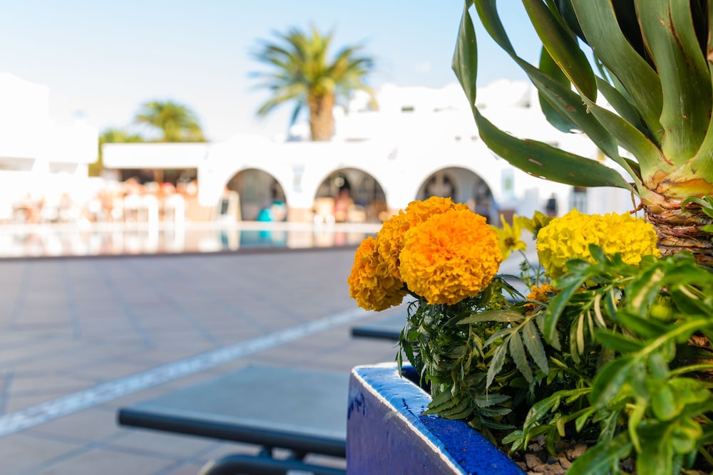 Las Adelfas — Hotel building in Puerto del Carmen, Canary Islands