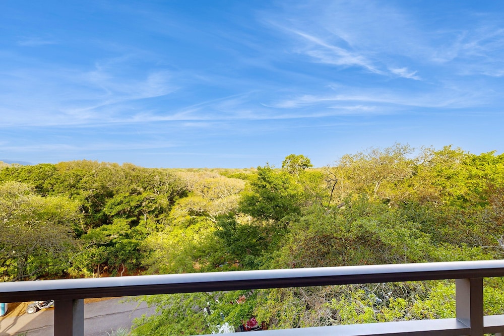 Amelia Island Plantation Condo With Ocean Views & Pool - Dog-friendly — Attractions in the area in Amelia Island, Florida
