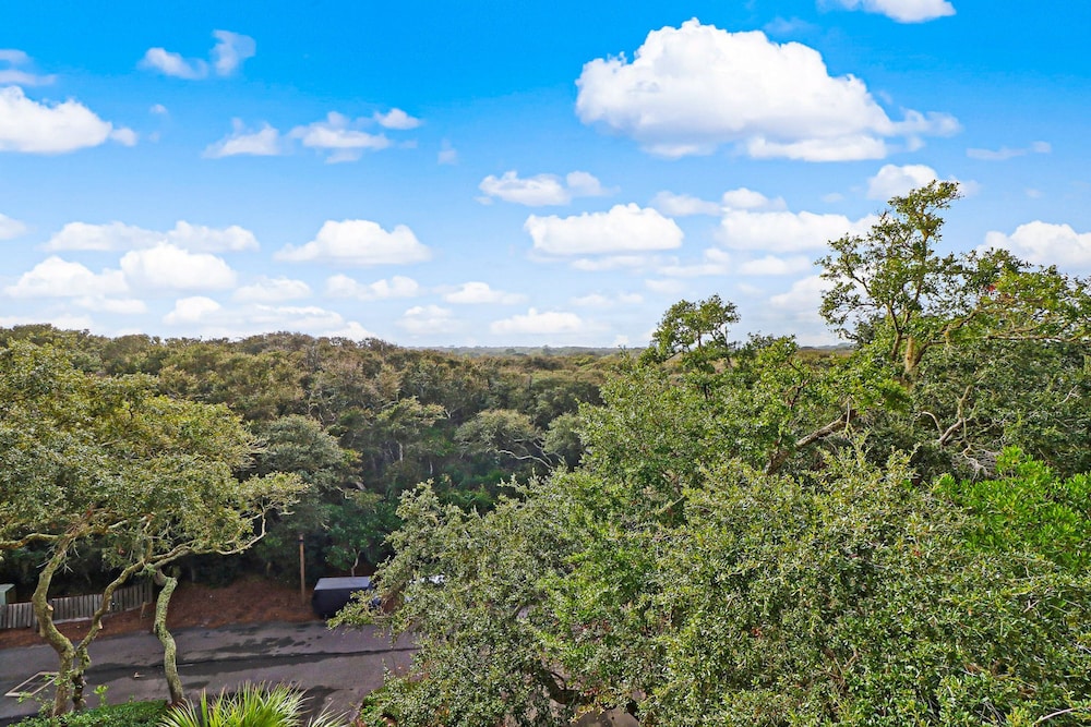 Amelia Island Plantation Condo With Ocean Views & Pool - Dog-friendly — Attractions in the area in Amelia Island, Florida