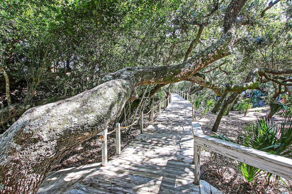 Amelia Island Plantation Condo With Ocean Views & Pool - Dog-friendly — Attractions in the area in Amelia Island, Florida