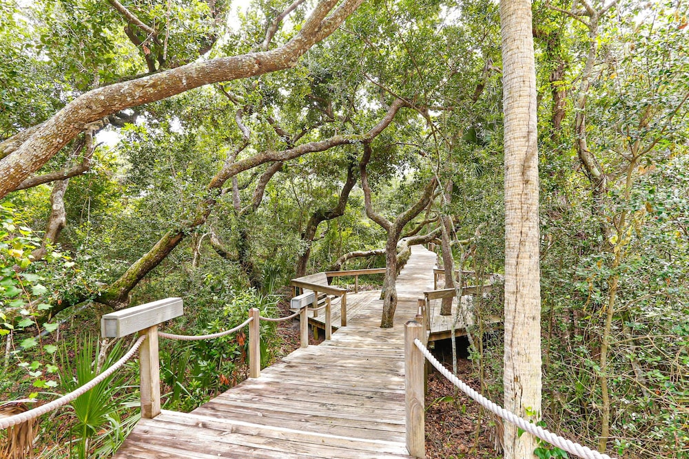 Amelia Island Plantation Condo With Ocean Views & Pool - Dog-friendly — Attractions in the area in Amelia Island, Florida