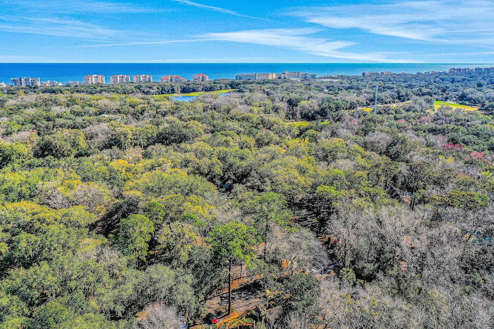 Oceanview Condo in Amelia Island Plantation With Balcony & Pool — Attractions in the area in Amelia Island, Florida