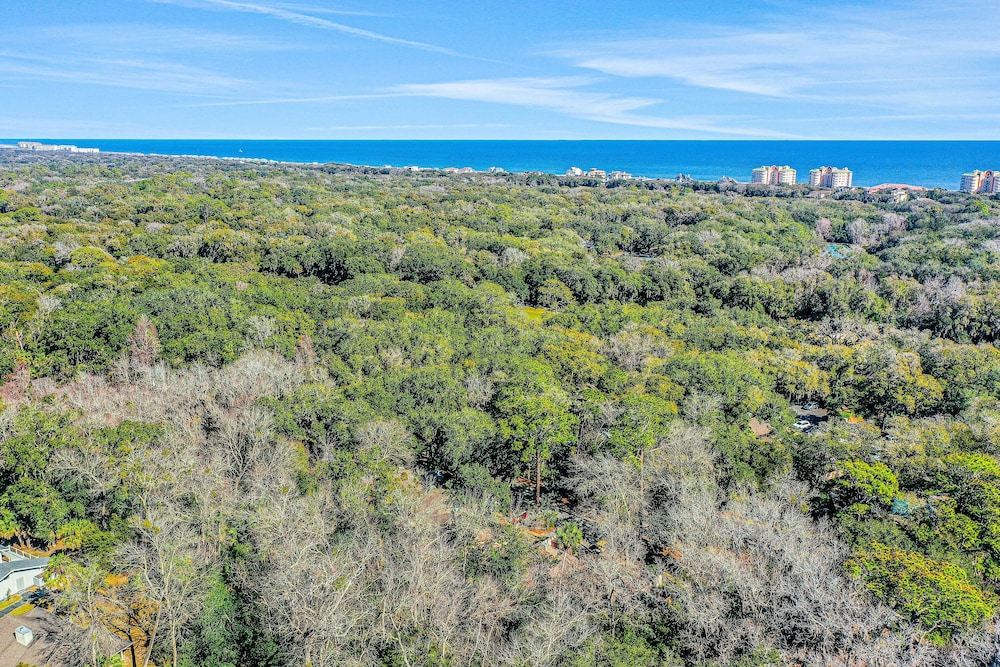 Amelia Island Plantation Condo With Side Ocean View, Balcony, Wifi & Shared Pool — Attractions in the area in Amelia Island, Florida