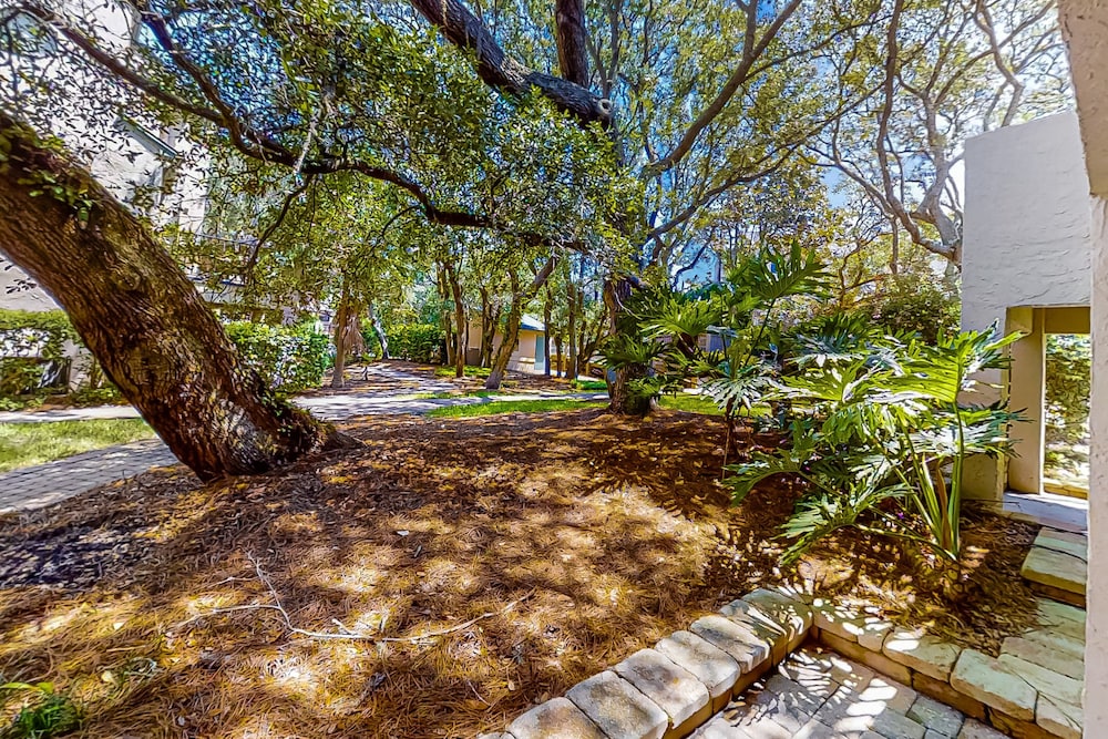 Fully-renovated Stunning Modern Beach Condo w/ Pool on Amelia Island — Attractions in the area in Amelia Island, Florida