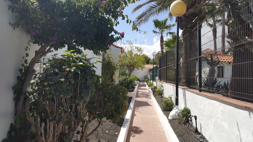 La Concha del Mar Apartments — Hotel building in Corralejo, Canary Islands