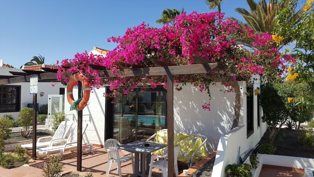 La Concha del Mar Apartments — Swimming pool in Corralejo, Canary Islands