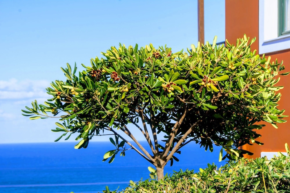 Ippoliti Village — Attractions in the area in Hersonissos