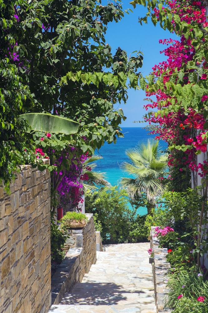 Porto Zante Villas And Spa — Attractions in the area in Tsilivi, Ionian Islands