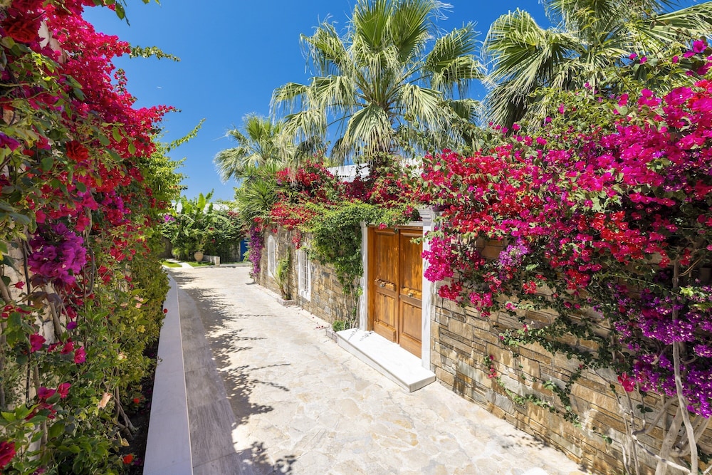 Porto Zante Villas And Spa — Hotel building in Tsilivi, Ionian Islands