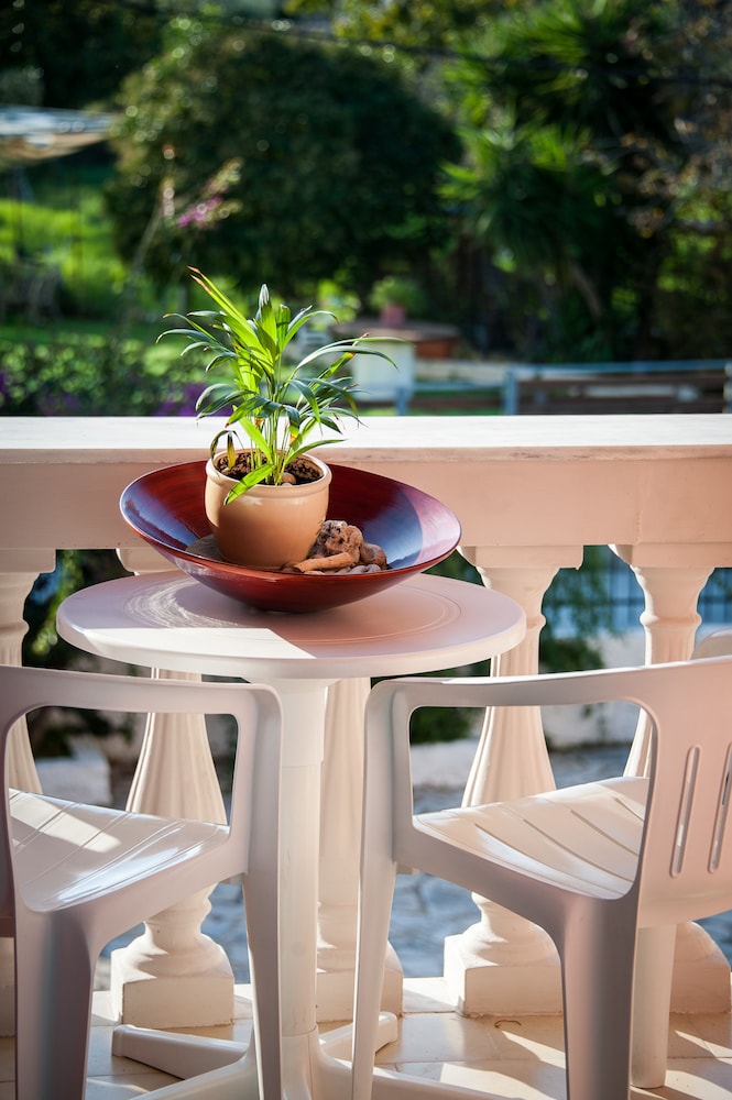 Zante Nest Studios & Apartments — Hotel building in Alikanas, Ionian Islands