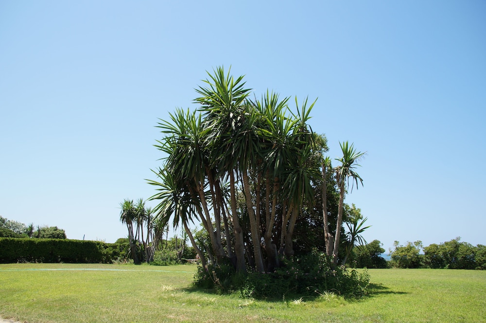 Akti Anastasia — Attractions in the area in Acharavi, Ionian Islands