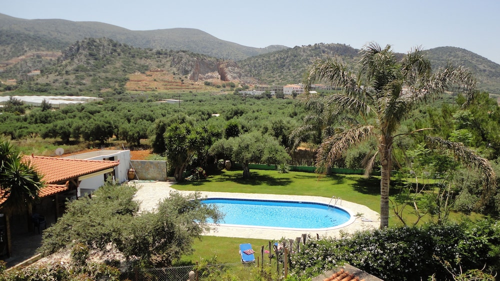 Ibiscus Hotel Malia — Swimming pool in Malia