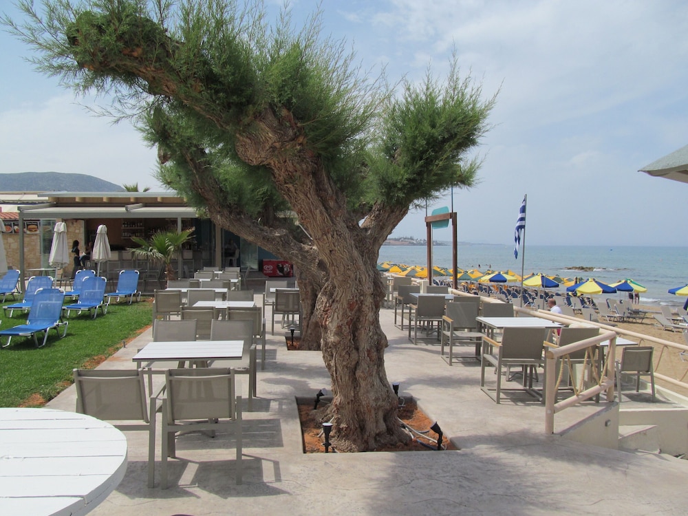 Malliotakis Beach Hotel by Checkin — Restaurant & bars in Stalida