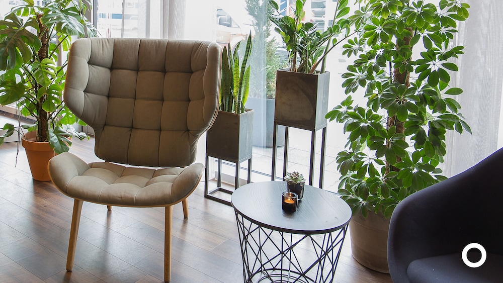 Miðgarður by Center Hotels — Restaurant & bars in Reykjavik, Capital Region