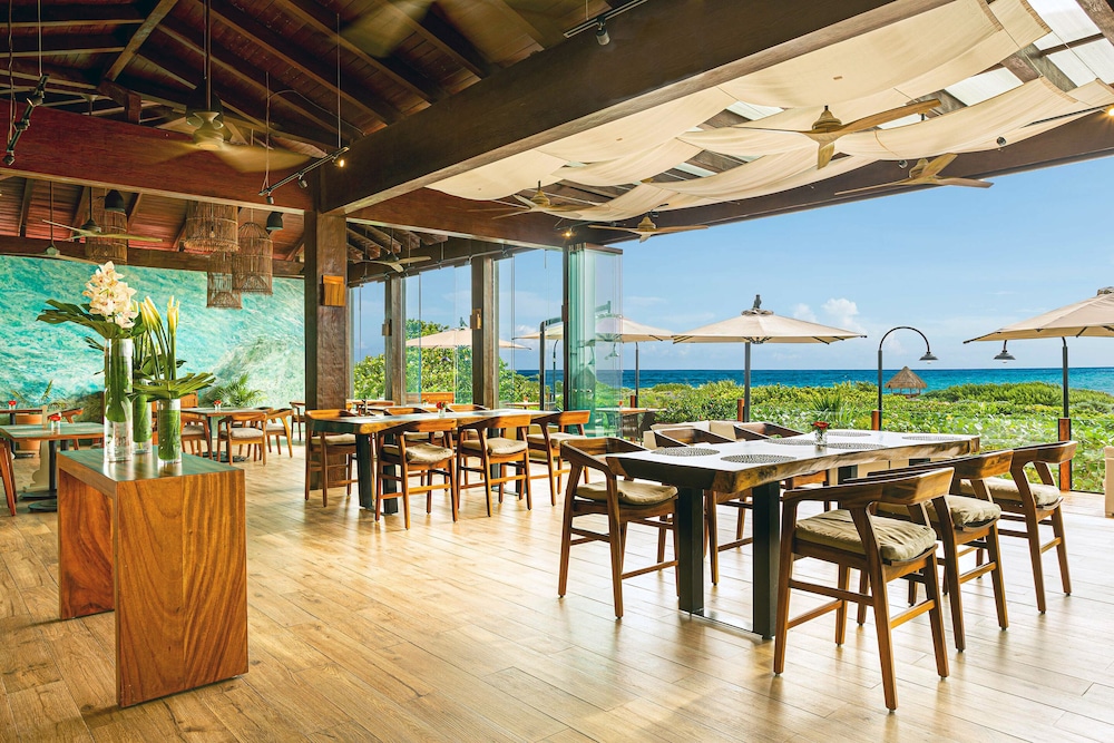 Secrets Playa Mujeres Golf & Spa Resort - Adults Only - All Inclusive — Restaurant & bars in Playa Mujeres, Quintana Roo