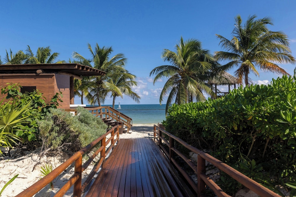 Royalton Riviera Cancun, An Autograph Collection All-Inclusive Resort & Casino - Newly Renovated — Outdoor in Puerto Morelos, Quintana Roo