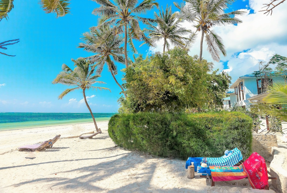 Indigo Beach Zanzibar — Beach in Paje, Zanzibar South