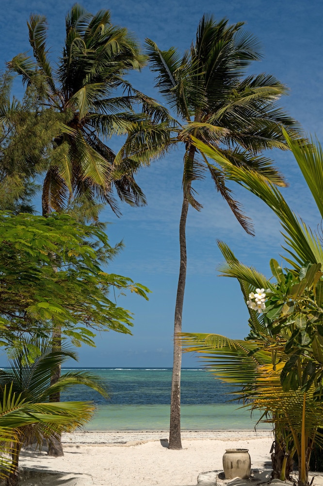 Indigo Beach Zanzibar — Beach in Paje, Zanzibar South