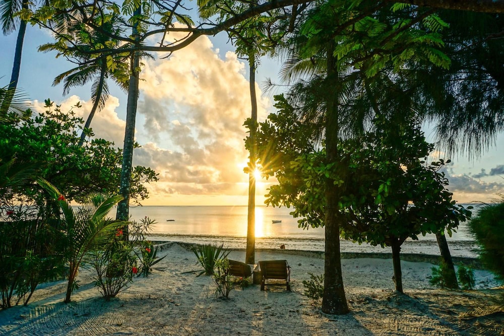 Indigo Beach Zanzibar — Beach in Paje, Zanzibar South