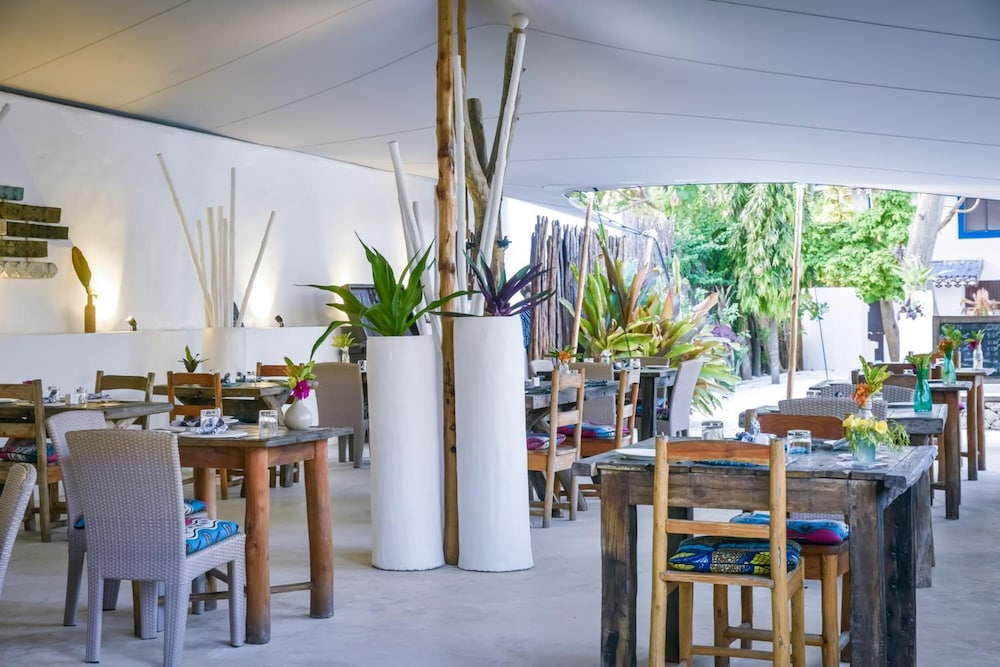 Indigo Beach Zanzibar — Restaurant & bars in Paje, Zanzibar South