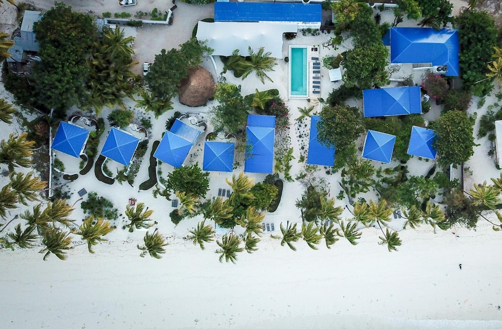 Indigo Beach Zanzibar — Beach in Paje, Zanzibar South