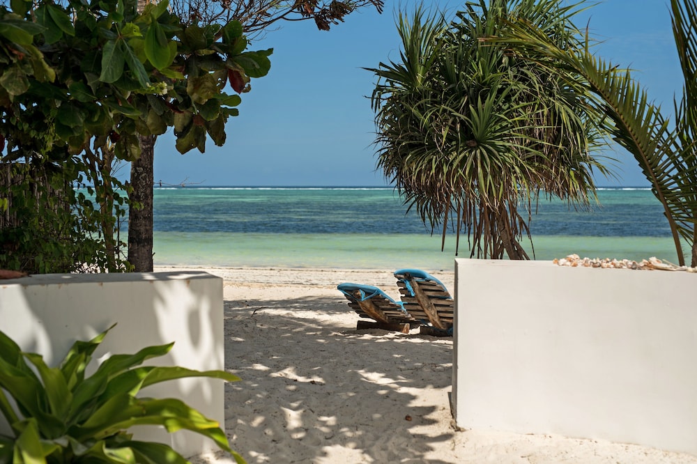 Indigo Beach Zanzibar — Beach in Paje, Zanzibar South